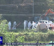 강원 고병원성 AI 확인‥방역 당국 '긴급 조치'