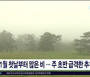 11월 첫날부터 많은 비…주 초반 급격한  추위"