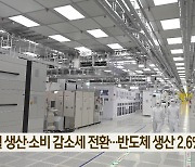 9월 생산·소비 감소세 전환…반도체 생산 2.6%↓