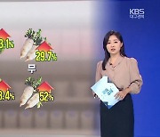 [같이경제] ‘기후플레이션’에 먹거리 비상…“장기 대책 필요”