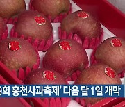 ‘제9회 홍천사과축제’ 다음 달 1일 개막