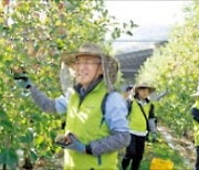 이석준 농협금융 회장, 농촌 일손돕기