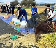 어린이가 직접 벼 심고 수확…  담양서 친환경 농업 체험