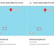 구글 지도, 독도 주소 검색했더니… 엉뚱한 위치 안내