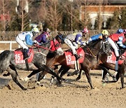 한국마사회, 2024년 11월 경마시행계획 발표