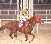 명예경주마‘당대불패’,‘클린업조이’ 안성팜랜드 입사기념 행사 개최