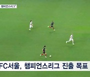 FC서울 ACL 목표 담금질…'팀 분위기 최고'