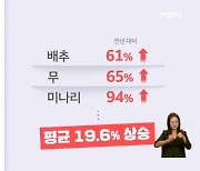 "4인 가족 김장비용 작년보다 20% 더 들어"…언제 하면 좋을까