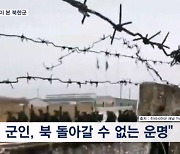 '폭풍군단' 탈북민 "파병 북한군, 전장서 살아남아도 제거될 것"