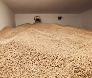 Biomass power generators face challenges amid gov’t policy shift