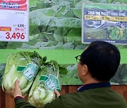 농식품부 “배추 값 3000원대로… 내달 물량 충분해질 것”