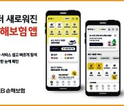 “앱 통합·세금 정보 제공” 고객편의성 혁신 주도 [시장혁신대상-KB손해보험]