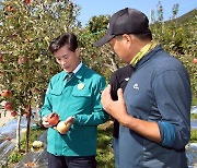 "피해가 심하죠" 사과 열과 농장 찾은 안병구 밀양시장