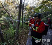 북한 쓰레기풍선의 기폭장치로 인한 산불 상황 가정 재난대응 화재예방 합동 소방훈련