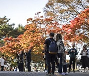 가을날 남산 찾은 여행객들