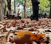 부산시민공원 가을 정취