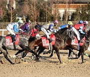 한국마사회, 11월 경마 시행계획 발표…마지막 주 그랑프리