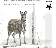 11월의 멸종위기 야생생물 '사향노루'