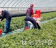 계절근로자·중개인 둘러싸고 잡음…전담기관 설치가 해법