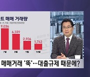 서울 집값 '숨고르기'…대출규제 때문에?