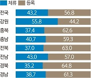 양양 찾은 외지인 카드사용액 현지인의 72%