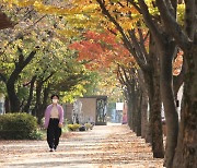 [오늘의날씨] 가을 정취 가득한 10월의 마지막 날···맑고 일교차 커