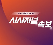 [속보] 검찰, ‘쌍방울그룹 대북송금 의혹’ 이화영에 항소심서 징역 15년 구형