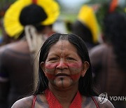 Brazil Indigenous Protest