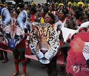 Brazil Indigenous Protest