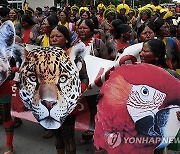 Brazil Indigenous Protest