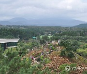 동화마을 산책