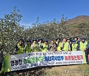 농협경제지주 에너지사업부, 충북 단양서 농촌 일손돕기 실시