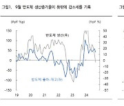 "반도체 생산 증가율 부진, 국내 경기 '잠재적 위험신호'"