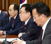 추경호, 野 조기대선 추진에 "국민이 준엄하게 심판하고 지켜볼 것"