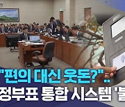 "편의 대신 웃돈?".. 정부표 통합 시스템 '불만'