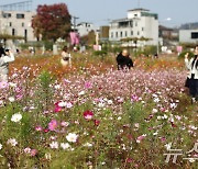 [오늘의 날씨] 경기(1일, 금)…일교차 커, 오전 안개