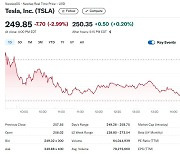 테슬라 2.99%-루시드 5.96%-니콜라 7%, 전기차 일제 급락(상보)