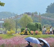 포천 한탄강 가든 페스타, 수도권 대표 축제로 자리매김