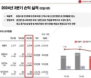 롯데에너지머티리얼즈, 3Q 영업손실 317억…적자전환