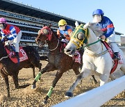 [경마] 한 달 당겨진 그랑프리...한국마사회, 11월 경마 시행 계획 발표