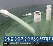 강원도·양양군, 연어 육상양식단지 지원 확대 검토