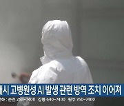 동해시 고병원성 AI 발생 관련 방역 조치 이어져