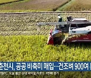 춘천시, 공공 비축미 매입…건조벼 900여 톤