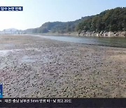 공주보 가둬 ‘펄’천지…매년 담수 논란 반복