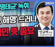 [전격시사] 안규백 더불어민주당 의원 - “북한 ICBM 발사·우크라 참관단…견해는?”