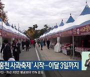 ‘제9회 홍천 사과축제’ 시작…이달 3일까지