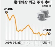 찬바람 불면 보험주인데···정책 리스크에 배당 불투명한 '이곳'