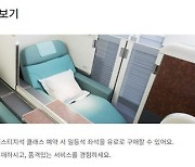 대한항공, ‘일등석 크기 프레스티지석’ 유료판매 시작…“상품다변화 나서”