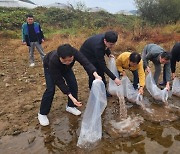 봉화군, 재산천에 어린 미꾸리 4만마리 방류… 모기 유충, 하루살이 퇴치 탁월