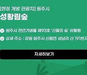 원주시, 신들의 숲 '치악산 성황림' 한정개방…"2일·16일"